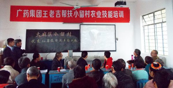 用多媒体传授优质仙草栽培技术