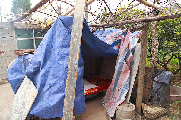 不间断的余震一直持，冯军的父母只好在院子里点着柴火，睡在临时搭建的帐篷里抵御寒夜。