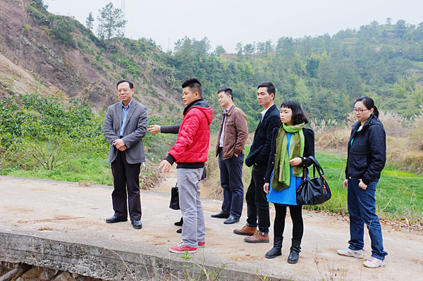 陈伟平书记到仙草大田旁边对即将开展的仙草种植工作进行指导