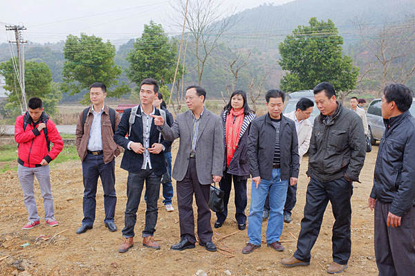 陈伟平书记到仙草大田旁边对即将开展的仙草种植工作进行指导