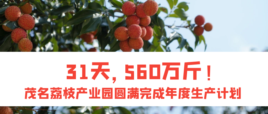 eb0c039b-ffe5-43e3-8a83-497e3d001ee8-1